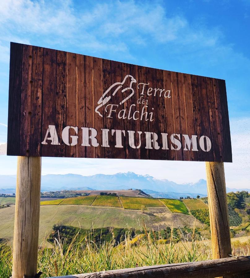 Agriturismo Terra Dei Falchi Castilenti Eksteriør bilde