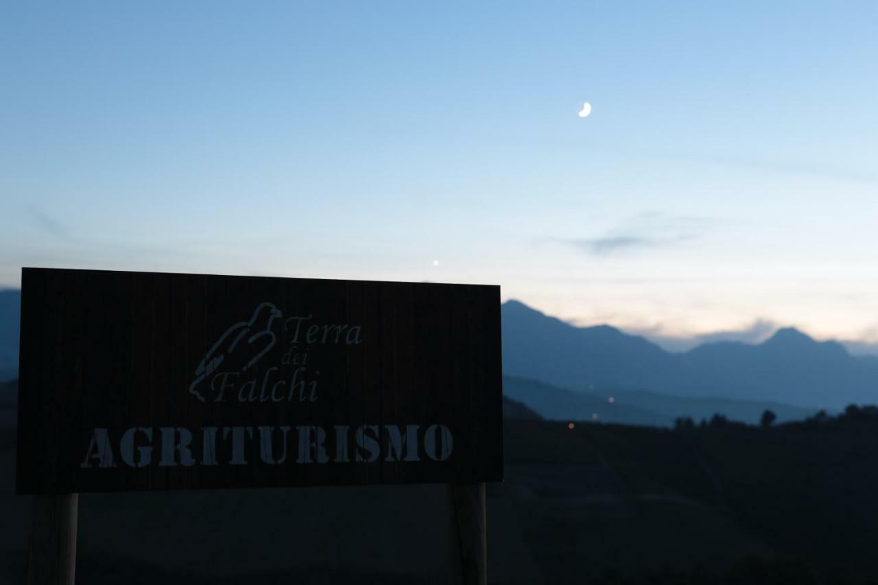 Agriturismo Terra Dei Falchi Castilenti Eksteriør bilde